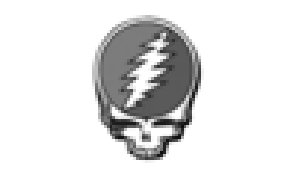 Grateful Dead Fare Thee Well